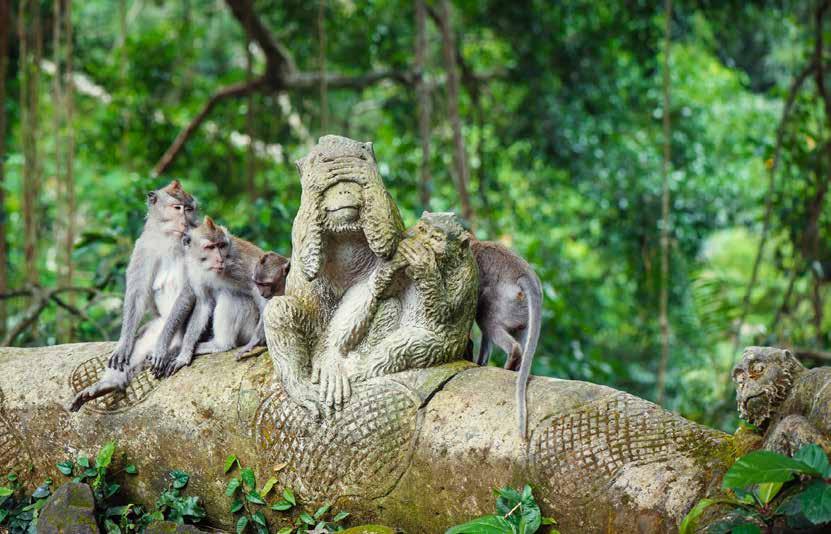 A hűs hegyek ölelésében fekvő varázslatos Ubud a balinéz kultúra és művészetek központja. sői kijelentkezés a szállodából, majd transzfer a repülőtérre az esti órákban.