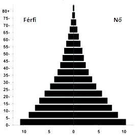 férfiak száma mindig közel megegyező a nőkével, minden korosztályban). Így biztosítható a társadalom folyamatos fejlődése, fenntarthatósága. 1. ábra. Egy társadalom ideális szerkezete.