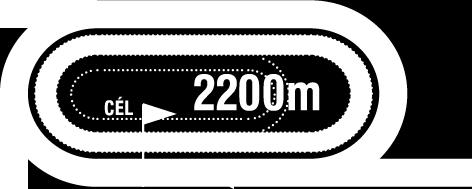 2019.06.01 V. FUTAM 16:00 (81) Pálya: 11 - Kincsem Park A futam neve: BÁRDOSI GYÖRGY EMLÉKVERSENY HENDIKEP (I.o.
