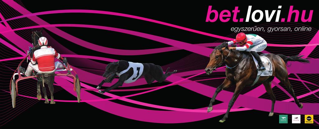10 * Sweet Anna (GB) 56.0 Milan Konkolj (0,0-0) 3 pk Champs Elysees (GB) - Annawi (GB) / Dubawi (IRE) Jozef Roszival Élet stat.
