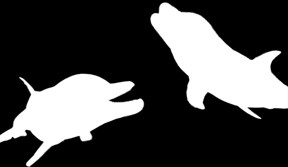 delfinek például állkapcsukkal csettintenek, ha bajba kerülnek, és ismételt füttyöket hallatnak, ha félnek valamitől vagy izgatottak.