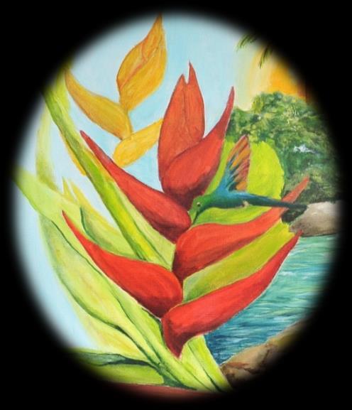 Egzotikus növény- és állatvilág Heliconia, avagy a rákollóvirág 3.