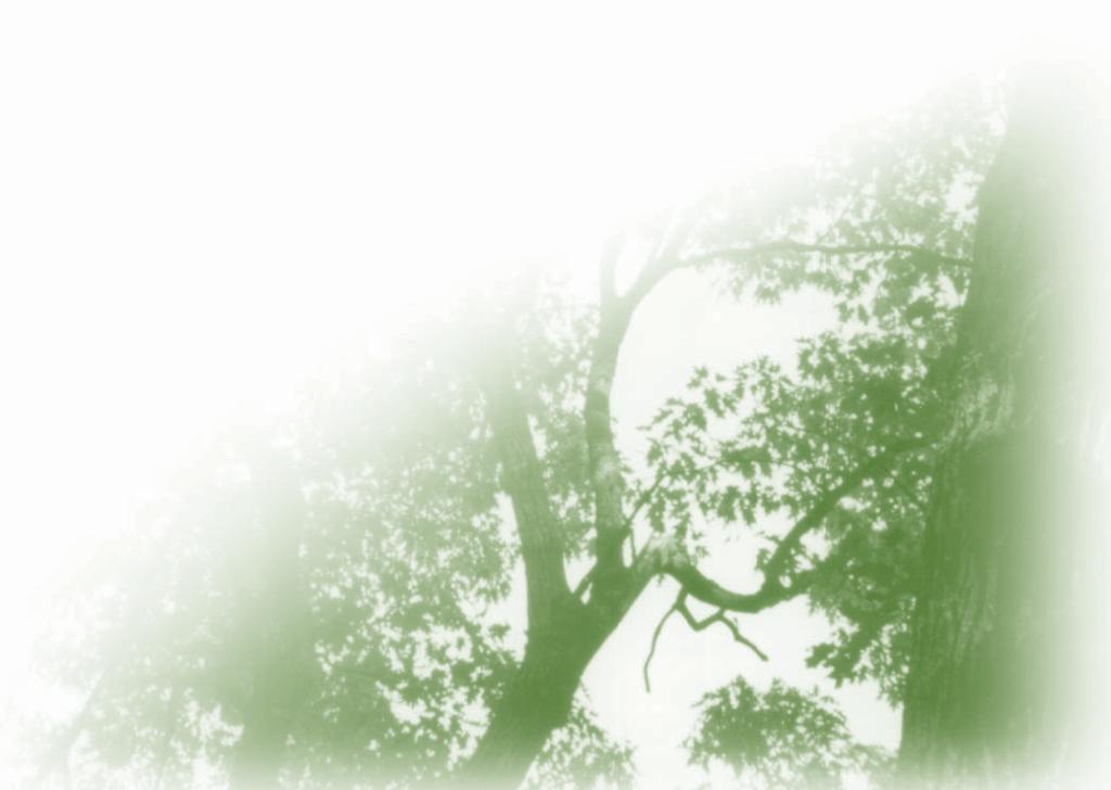 4) Ensure implementation of the Edmond Green Print A.
