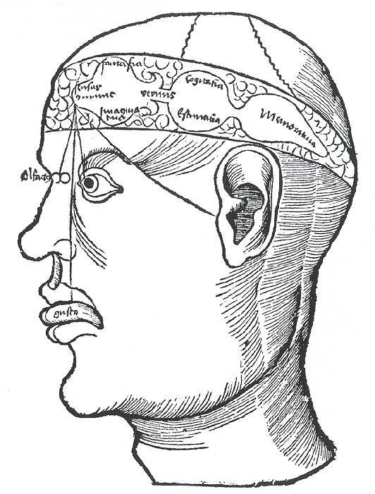 Agykamrák doktrinája A mentális folyamatokat az agykamrákba lokalizálta Első agykamra: Szenzoros információ