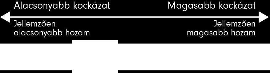 Mindkét döntéshozatali területen arra számítunk, hogy növeljük az alap bevételeinek értékét, és elősegítjük a tőkenövekedést.