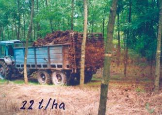 évenként növõtérbõvítés rendszeres talajápolás és törzsnyesés 10 és 12 éves korban 24 t/ha szerves trágyázás Telepítés: 1992. (hagyományos akáctelepítés) Ültetvényszerû kezelés: 1997.