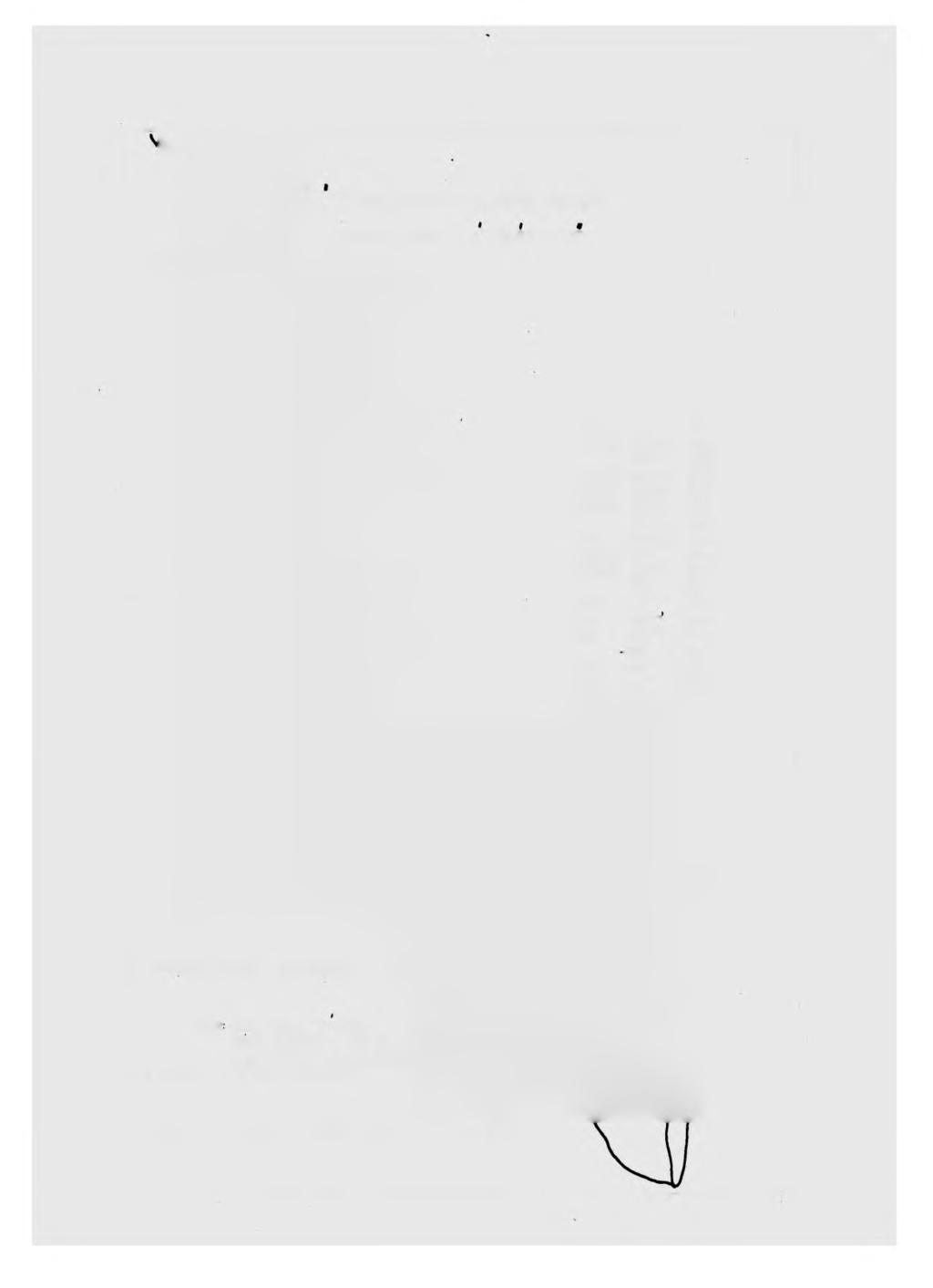 - 226 - U T M E N T I В RR LANG BÜKK HGS.