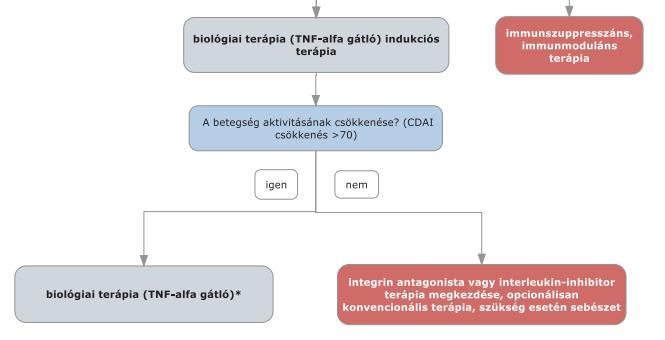 A felnőttkori luminális Crohn-betegség diagnosztikájának és kezelésének