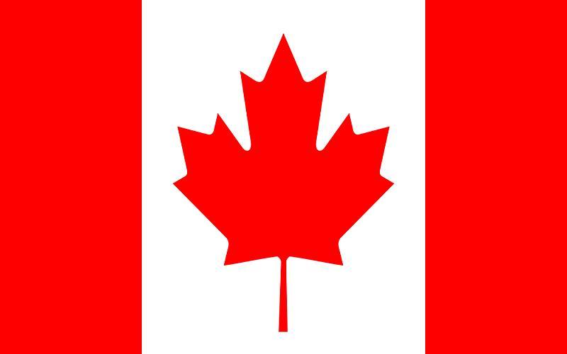 RIVETTI, Cassio (10012063) LAGERFELD (103DE19) ULAHOP BOY (104PS74) UT MAJEUR DE BRECEY (104PS73) Canada