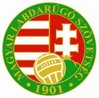 Magyar Labdarúgó Szövetség TOLNA MEGYEI FÉRFI FUTSAL VERSENY A verseny versenykiírása 2017 2018. Határozatszám ELN-47/6/XVII/2017.