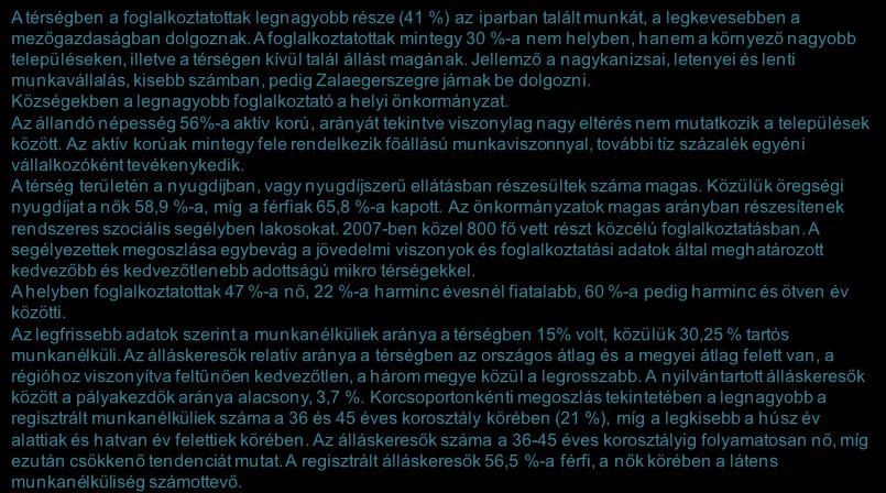 Forrás: HVS kistérségi HVI, helyi érintettek, KSH, HVS adatbázis 19 A térség foglalkoztatottsági helyzete 1/2 A térségben a foglalkoztatottak legnagyobb része (41 %) az iparban talált munkát, a