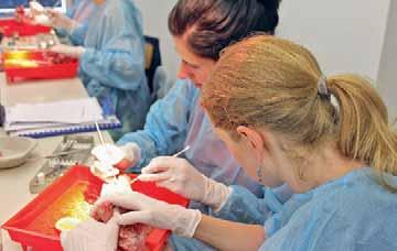 Praxiskonzept zum Zahnerhalt zu