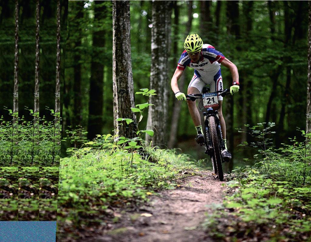 BICIKLISTIČKE STAZE - KERÉKPÁRUTAK - BICYCLE ROAD VIROVITIČKI KRUG 33 km od Virovitice preko obližnjih sela natrag u grad.