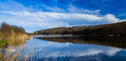 OSTALE TURISTIČKE ZANIMLJIVOSTI / EGYÉB TURISZTIKAI ÉRDEKESSÉGEK / OTHER TOURIST ATTRACTIONS Virovitički ribnjaci / Verőcei halastavak / Virovitica ponds Trg kralja Zvonimira 6, Virovitica www.