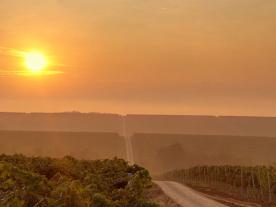VINARIJE - PINCÉSZETEK - WINERIES Vinogorje Baranja - obiluje vinogradima koji se pružaju na južnim obroncima Banovog brda i okolice sve do rijeke Dunav.