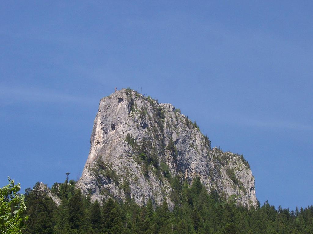 Köszönöm a