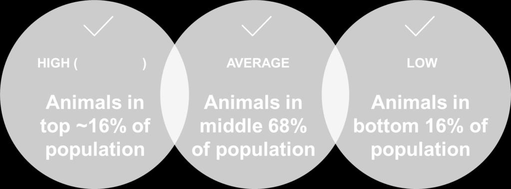 SEMEX Mit