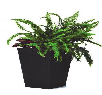 CU880 Rattan planter S, 23 L 521 1,40 1,79 28,5 x 28,5 x 43,5 57 x 28,5 (Open