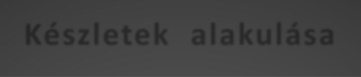 Készletre adott előleget 2017. december 31-én nem tartottunk nyilván.