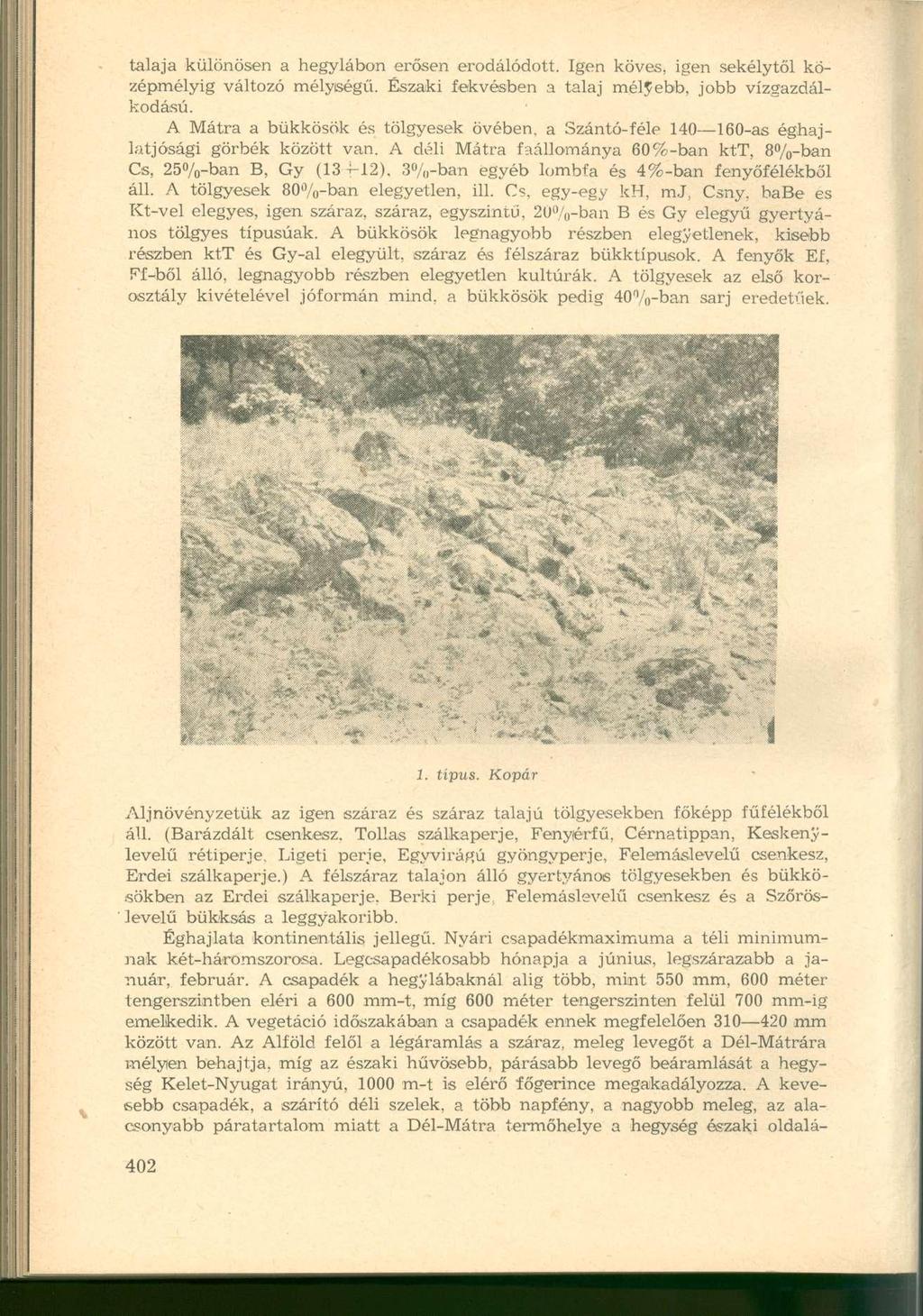talaja különösen a hegylábon erősen erodálódott. Igen köves, igen sekélytől középmélyig változó mélységű. Északi fekvésben a talaj mélyebb, jobb vízgazdálkodású.