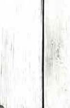 000 /1 l; 83 /1