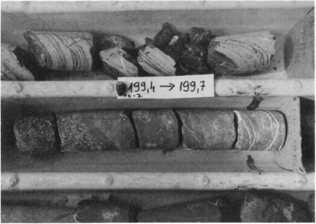 199,4-199,7 m, átülepített vulkáni finomtörmelék az ignimbrites szakasz fölött (a ládaperem beosztása 10 cm-es) Fig. 4. 199.4-199.7 m, resedimented fine detritus of volcanites overlying the ignimbrite complex (scale indicated on the sample-case shows 10 cm intervals) A kőzet fluidális szövetű.