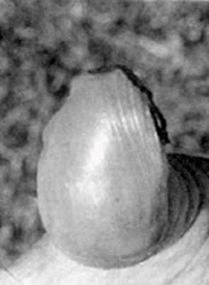 2. melléklet.