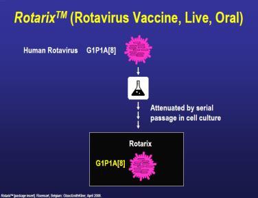 Rotavírus Vakcina neve Rotarix/GSK Rotateq/MSD