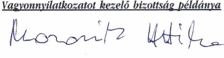 Vagyon-, jovedelem- 6s gaxdusbgi &dekeltsdgi nyilatkozat belyi onkormhnyzati kdpubselo" @ozg&rmester, dpozgbrmester), valamint a veze kozos b&x&rthban dl6 bbzas- vagy dzettt2rsa 4s gyermeke szhmara A