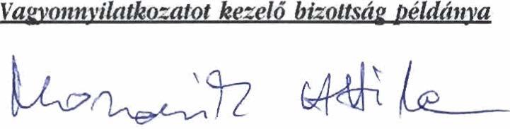 pontban irt foglalko&an kiviili, valarnennyi olyan Mkenydge, amelybdl ad6koteles jovedelme szhrmazik: a) A tevkkenyskg megnevezk:.