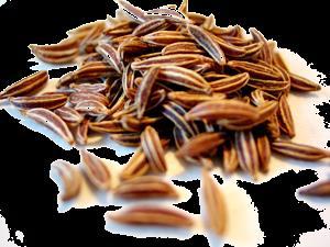 amygdalus) keserűmandula