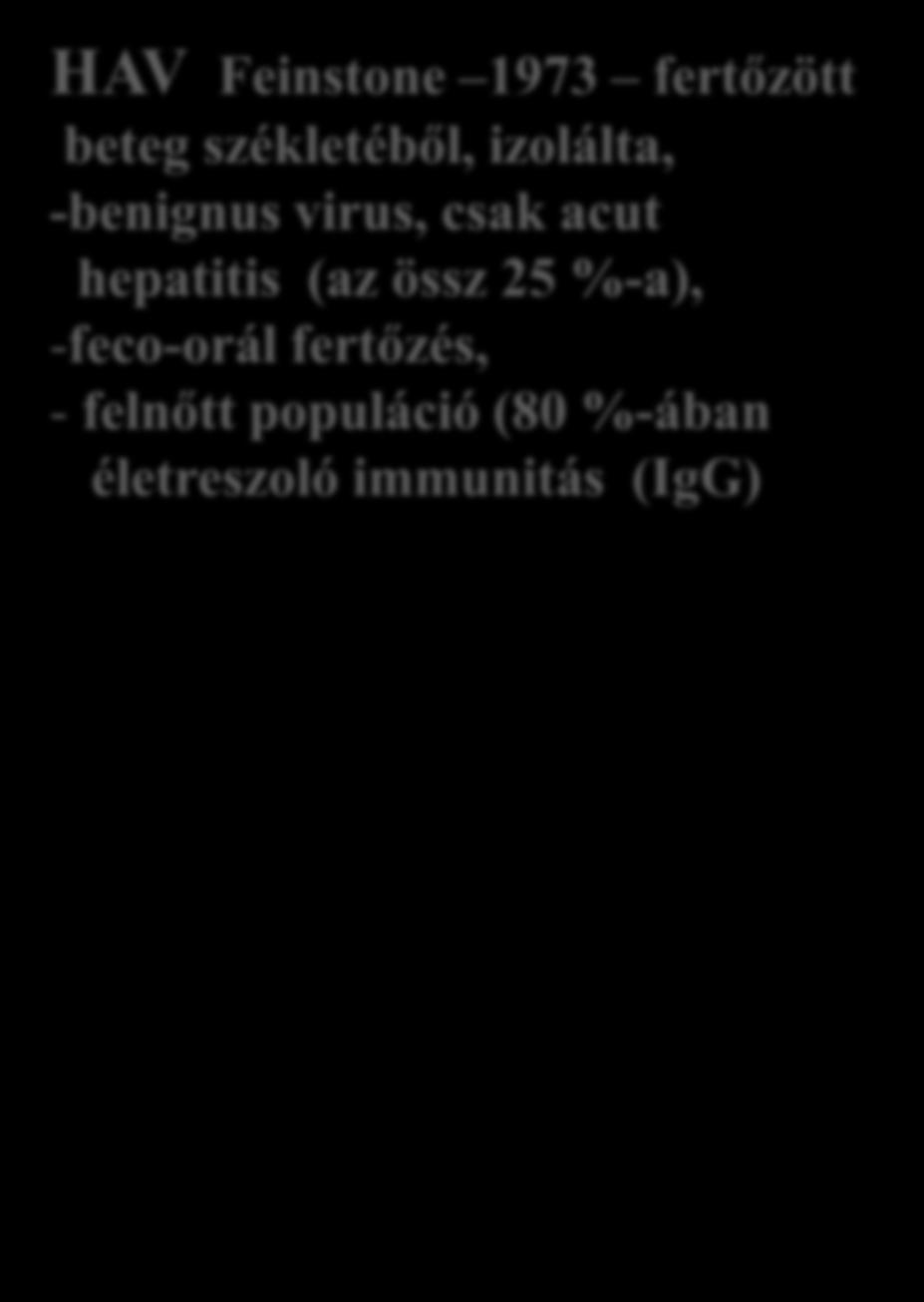 Csak serologiailag megkülönböztethető acut hepatitist idéznek elő, DE: 4. Különböznek a fertőzés módjában: - feco-oralis vs.