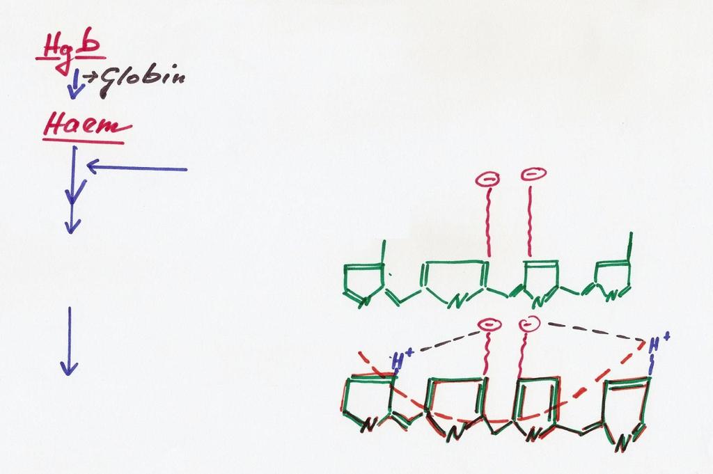 B. Endogén pigmentek a. Haemoglobinogén pigmentek 3. Bilirubin - Bilirubinaemia Icterus 80 85% vvt,.