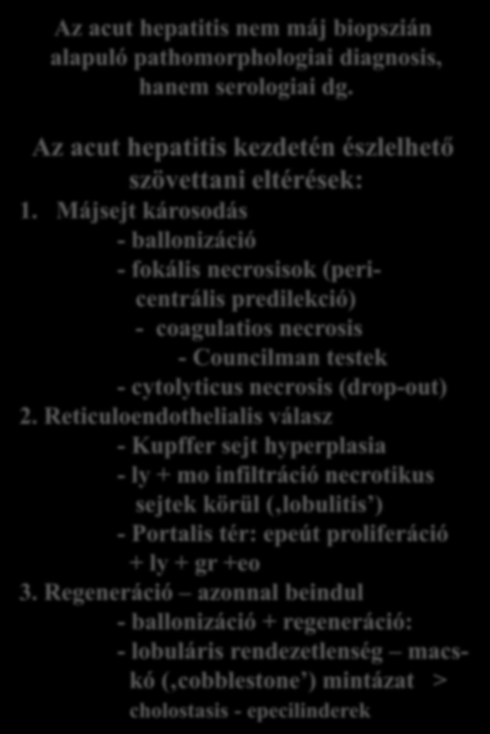 HBV hepatitis Az acut hepatitis nem máj biopszián alapuló pathomorphologiai diagnosis, hanem serologiai dg. 2. 1.