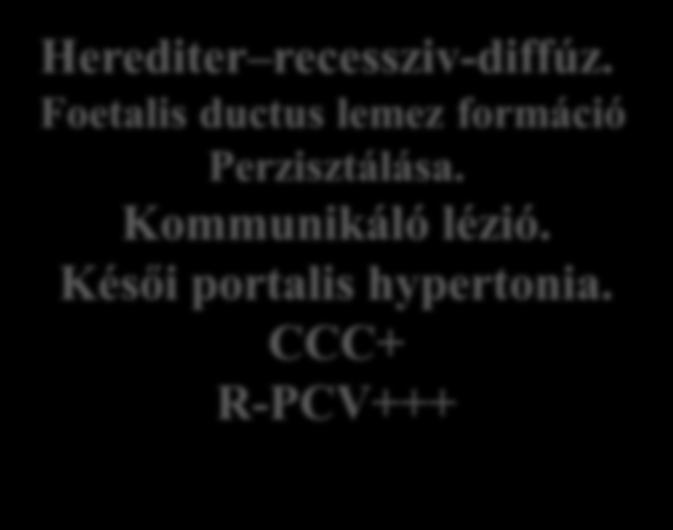 CCC+ R-PCV+++ aut. recessziv - diffúz.