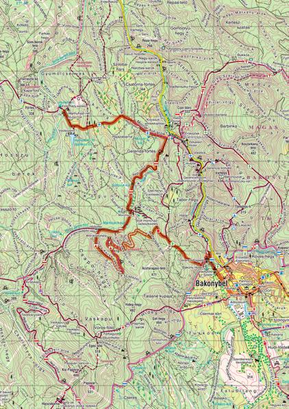 7. nap HUBERTLAK BAKONYBÉL Útvonal: Hubertlak Molnár-kút-árok Móricháza Hídpillér Witt-kilátó Móricháza Bakonybél Napi útvonalhossz: 13,2 km Napi szintemelkedés/lejtés: 368/382 m A Bakonyi Erdei