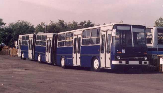 Vasút