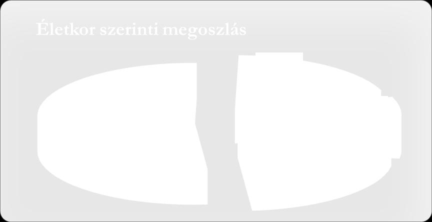Vendégkör demográfiai jellemzői: 8 % (26 fő) 18-25 év közötti 21 % (67 fő) 26-45 év közötti 52 % (166 fő) 46-65 év közötti 19 % (61 fő) 65 év feletti.