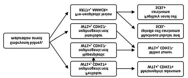 ANTICANCER RESEARCH 38: 6663-6667 (2018) Figure 2.