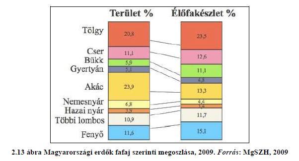Forrás: Pálvölgyi T