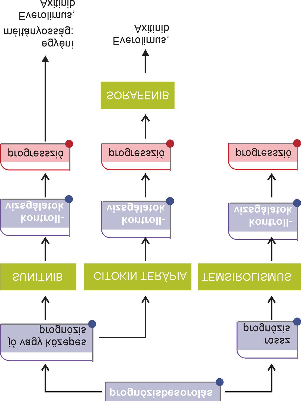 Szûcs Miklós faktor, a vascular endothelial growth factor (VEGF) gátlásán alapuló terápiákat.