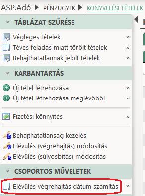 A funkció lényege, hogy azon könyvelési tételek esetében, ahol nem kitöltött az Elévülés végrehajtás dátum (jellemzően a migrált tételek), az általános elévülési szabály szerint kiszámítja és beírja