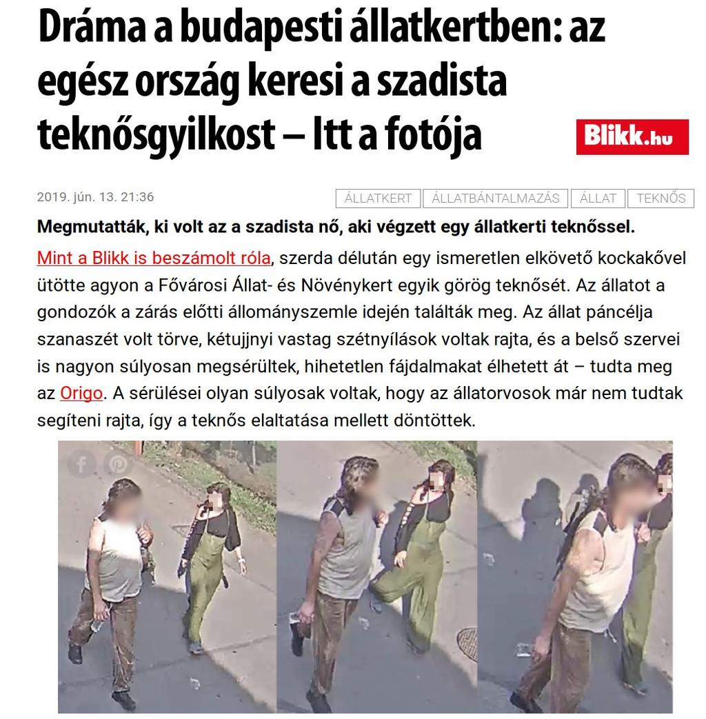 #Közösségi embervadászat - 2019.