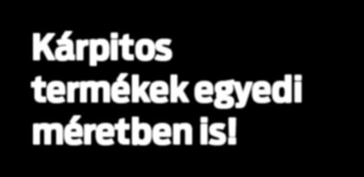 MUNKATÁRSAKAT KERES egyműszakos munkarendbe az