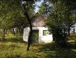 gettyűt is. Szép, egészséges 4-5 szőlőfürtöt tartó szőlővesszőből többet összekötöttek.