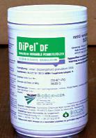 Kezeletlen kontroll DiPel DF A DiPel DF hatásmódja: 1. A hernyó tápcsatornájába kerülő toxin kristályok a lúgos kémhatású előbélben aktiválódnak. 2.