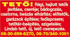www. keszin. hu 5 A D Á S - V É T E L RÉGI tollat,dunnát,párnát veszek +36-30-164 6336.