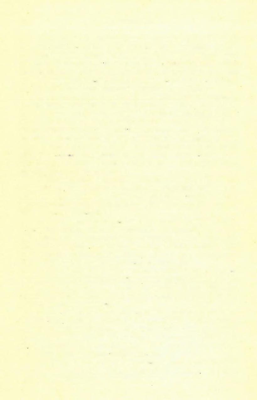 542 DE. Z A L Á N Y I B É LA (2 ) Bujtur község ÉK határterületén a Vrf. miries (383 m) és a D.