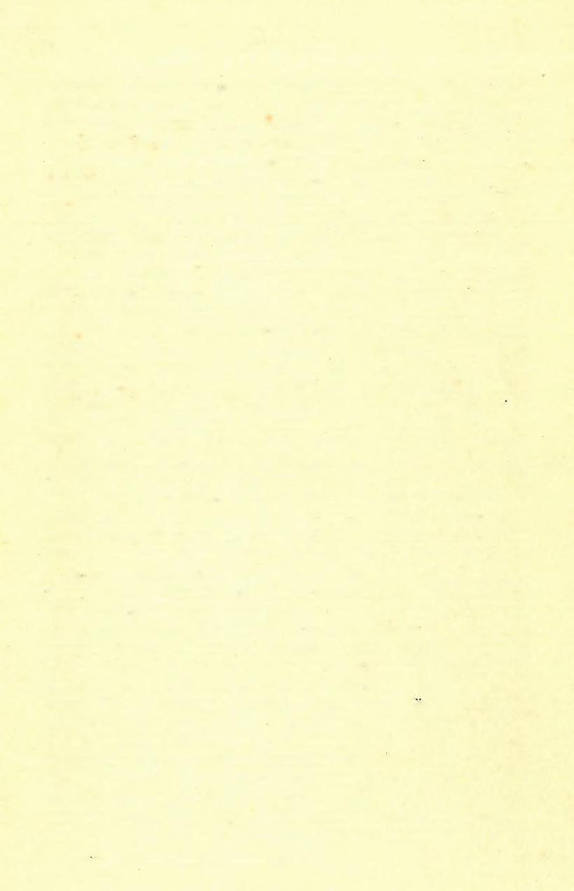 (5) EG Y ÉB JE L E N T É S E K. 5 4 5 munkáiban felsorolt fajokkal megegyezik: Heliastraea sp..; Cellepora globularis Bronn.; Glycymeris [Panopaea] Menardi (Desh.), Psammobia uniradiata Bbocc.