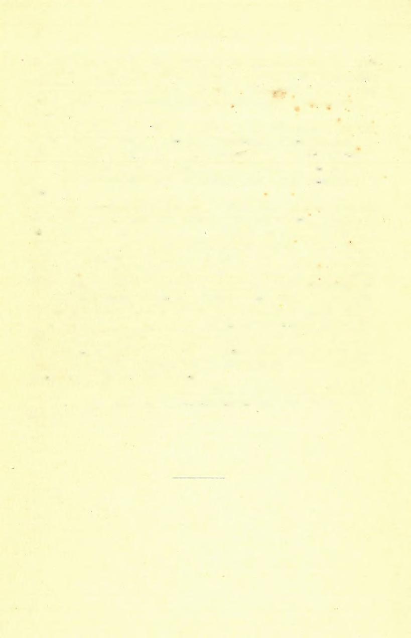 5 4 6 DR. ZA L Á N Y I B É L A (6) redempta M ic h t., Natica sp., Melanopsis cfr. Aquensis G r a t., Melanopsis sp., Bulla sp., Crepidula gibbosa D e f r. var.